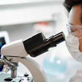 福瑞得廠區鳥瞰圖